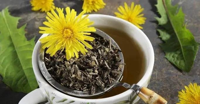 What are the benefits of drinking dandelion tea